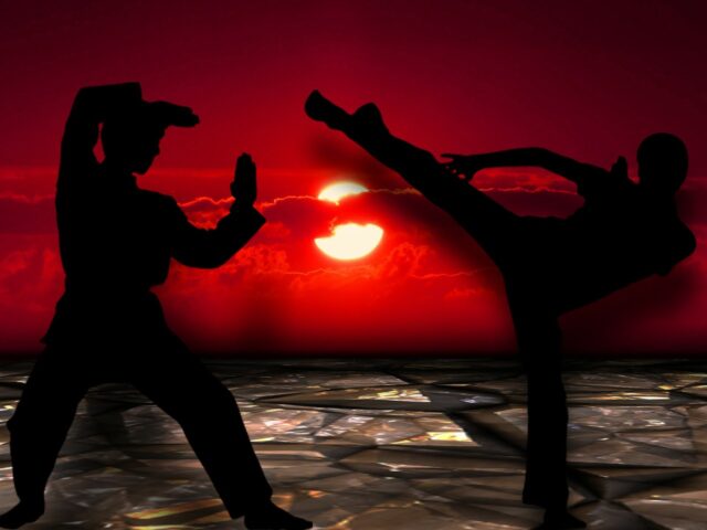 Le kung fu et les arts martiaux pour la méditation